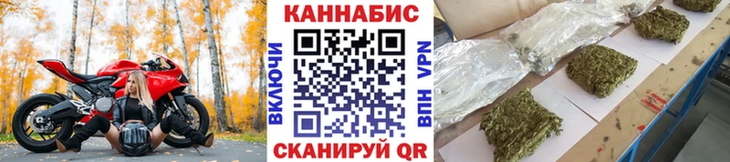  COCAIN Сосновый Бор