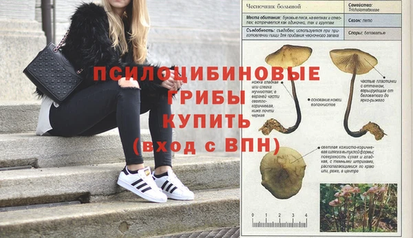 первитин Магас