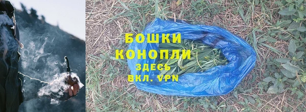 ГАЛЛЮЦИНОГЕННЫЕ ГРИБЫ Медвежьегорск