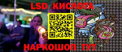 ПСИЛОЦИБИНОВЫЕ ГРИБЫ Заволжье