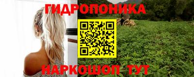 ПСИЛОЦИБИНОВЫЕ ГРИБЫ Заволжье