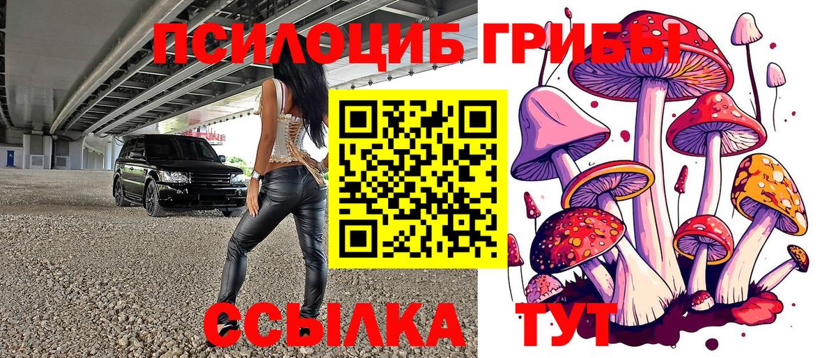 Псилоцибиновые грибы мухоморы Сосновый Бор