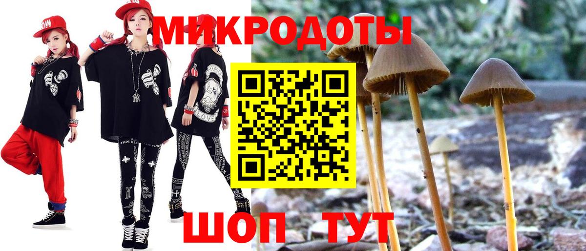 Псилоцибиновые грибы GOLDEN TEACHER  Вход с VPN  Псилоцибиновые грибы Psilocybine cubensis  Сосновый Бор 