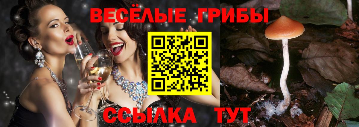 Псилоцибиновые грибы GOLDEN TEACHER Сосновый Бор